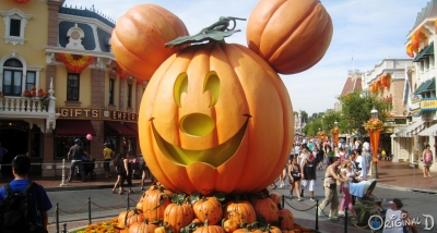 Halloween Time 2012 Photo Update